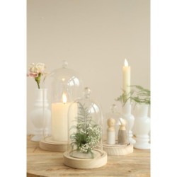 Cloche en verre bouton verre sur socle bois Ø14 H.24 cm – verrerie déco en gros