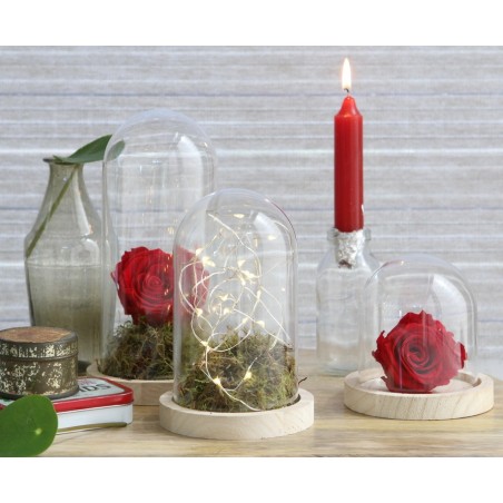 Cloche en verre sur socle bois Ø10 H.10 cm – verrerie déco en gros