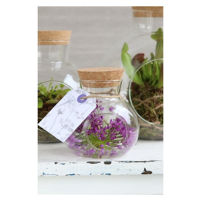 Boule en verre avec bouchon Ø10 H.10 cm – vente en gros verrerie pour fleuristes