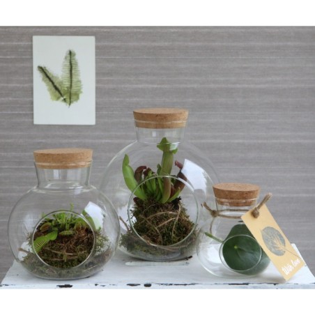 Boule en verre avec bouchon Ø10 H.10 cm – verrerie déco en gros