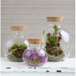 Boule en verre avec bouchon Ø14 H.15 cm – vente en gros verrerie pour fleuristes