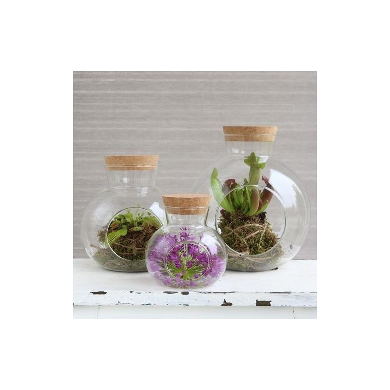 Boule en verre avec bouchon Ø14 H.15 cm – vente en gros verrerie pour fleuristes