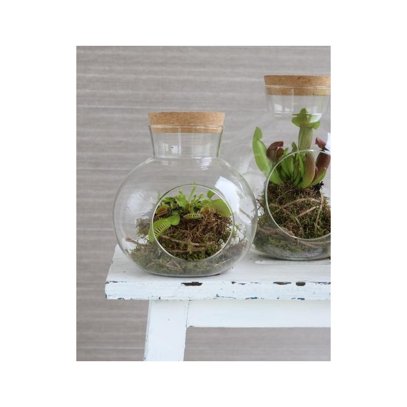 Boule en verre avec bouchon Ø14 H.15 cm – verrerie décorative pour fleuristes et décorateurs à prix grossiste