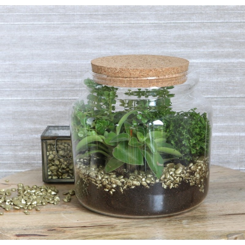 Bocal en verre avec bouchon Ø15 H.14 cm – verrerie en gros