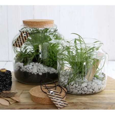Bocal en verre avec bouchon Ø15 H.14 cm – verrerie pour décoration de mariage, vente en gros aux fleuristes