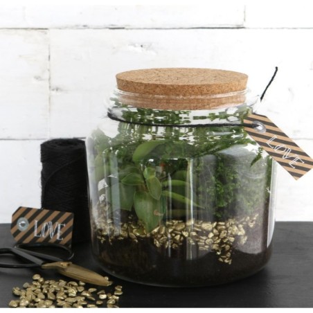 Bocal en verre avec bouchon Ø15 H.14 cm – vente en gros verrerie pour fleuristes