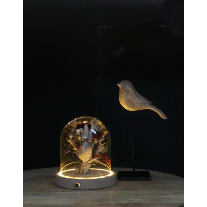 Cloche en verre LED sur socle bois Ø10 H.10,5 cm – vente en gros verrerie pour fleuristes