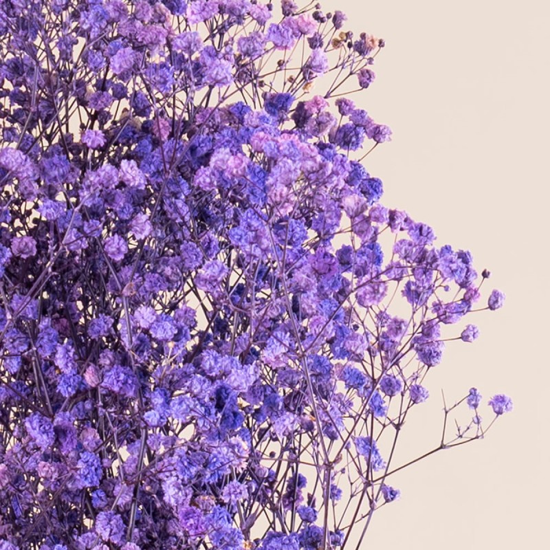 Box fleurs stabilisées violet – roses, lavande Lavande & velours – grossiste en végétal stabilisé