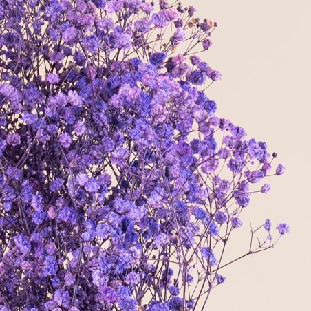 Box fleurs stabilisées violet – roses, lavande Lavande & velours – grossiste en végétal stabilisé