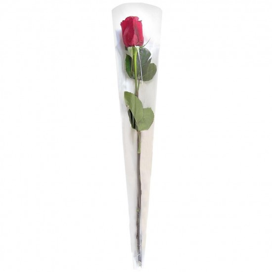 Etui cône neutre pour 1 rose 65x13,5x3 cm x50 pièces