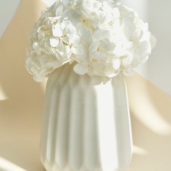 Box fleurs stabilisées blanches – mariage, cérémonie Blanc pur – grossiste en fleurs stabilisées