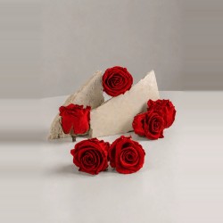 Box fleurs stabilisées rouges – Noël, Saint-Valentin Rouge Byzance – grossiste en fleurs stabilisées