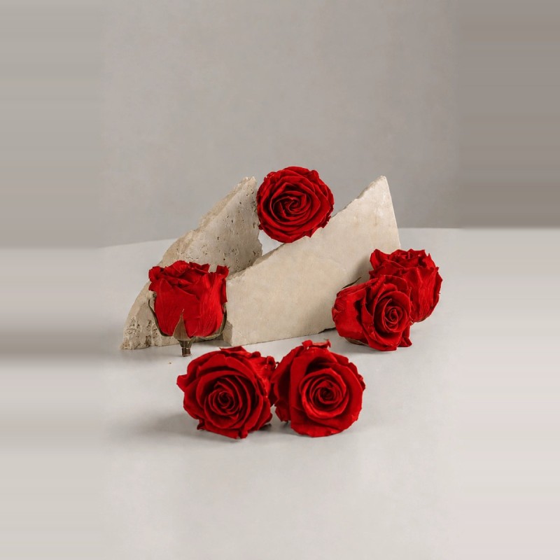 Box fleurs stabilisées rouges – Noël, Saint-Valentin Rouge Byzance – grossiste en fleurs stabilisées