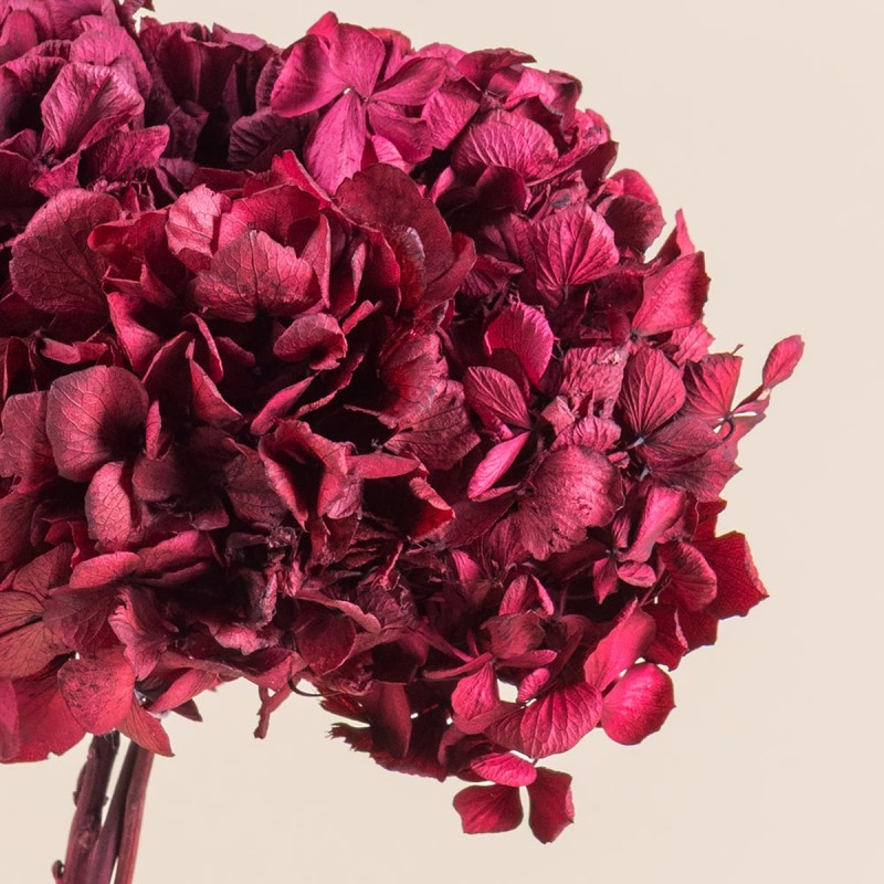Box fleurs stabilisées rouges – Noël, Saint-Valentin Rouge Byzance – grossiste en végétal stabilisé