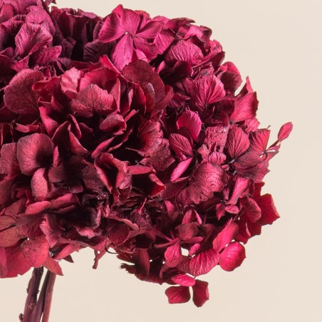 Box fleurs stabilisées rouges – Noël, Saint-Valentin Rouge Byzance – grossiste en végétal stabilisé