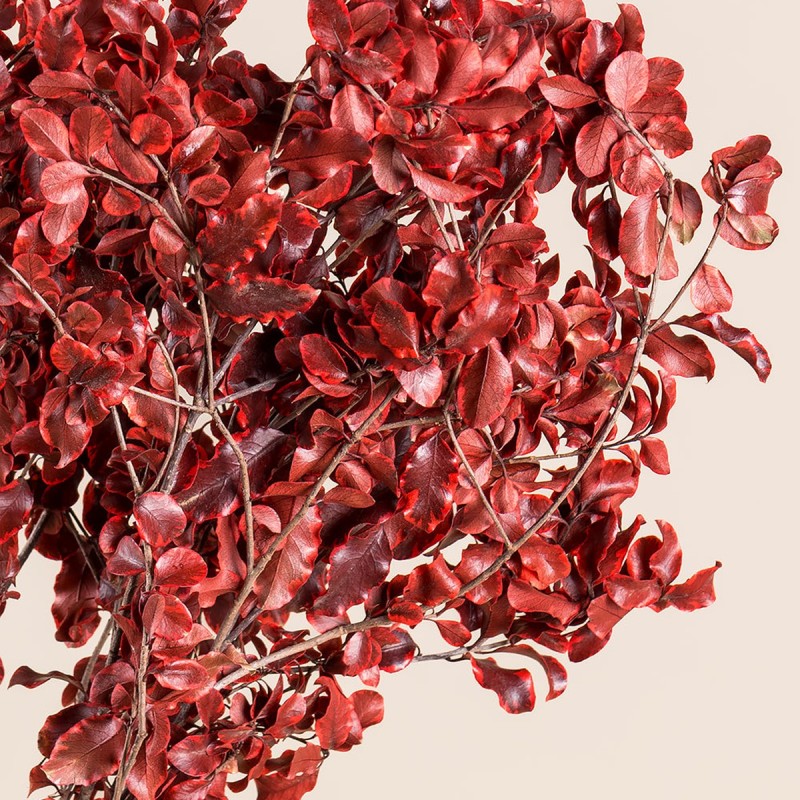 Box fleurs stabilisées rouges – Noël, Saint-Valentin Rouge Byzance – végétal stabilisé en gros
