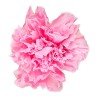 Œillet stabilisé rose pastel – grossiste en fleurs stabilisées