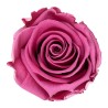 Rose stabilisée Standard cerise vintage – grossiste en roses éternelles