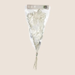 Ruscus stabilisé blanc – grossiste en feuillage stabilisé