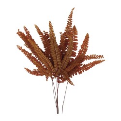 Fougère Felci stabilisée orange – feuillage stabilisé pour bouquets sans entretien, prix grossiste