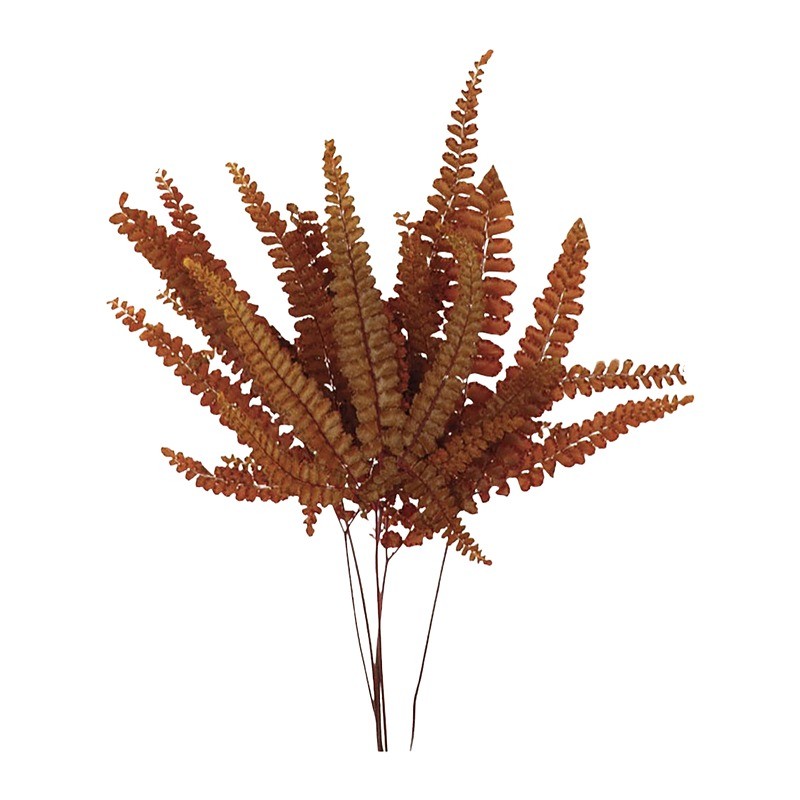 Fougère Felci stabilisée orange – feuillage stabilisé pour bouquets sans entretien, prix grossiste