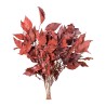 Lierre Hedera Arborea stabilisé rouge – acheter du feuillage stabilisé en gros