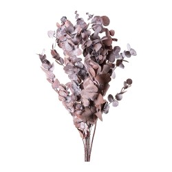 Eucalyptus Cinerea stabilisé moka cacao – acheter du feuillage stabilisé en gros