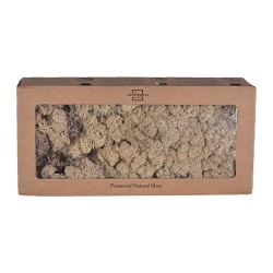 Lichen stabilisé naturel – grossiste en mousse stabilisée