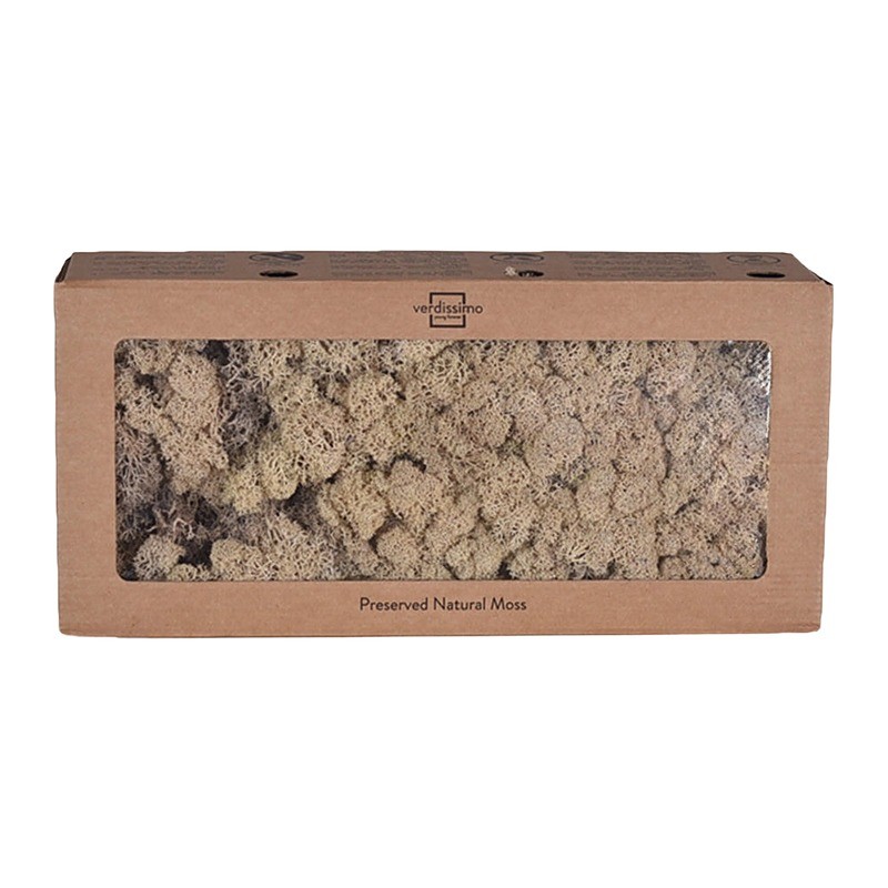 Lichen stabilisé naturel – grossiste en mousse stabilisée