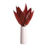 Feuille tropicale stabilisée rouge – feuillage stabilisé en gros