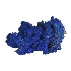 Lichen stabilisé bleu foncé – grossiste en mousse stabilisée