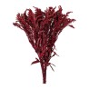 Solidago stabilisé bordeaux – grossiste en fleurs stabilisées