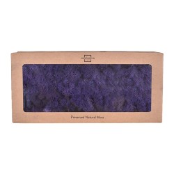 Lichen stabilisé violet – acheter de la mousse stabilisée en gros