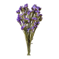 Statice stabilisé lilas – fleurs stabilisées en gros