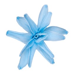 Tubéreuse stabilisée bleu pastel – grossiste en fleurs stabilisées