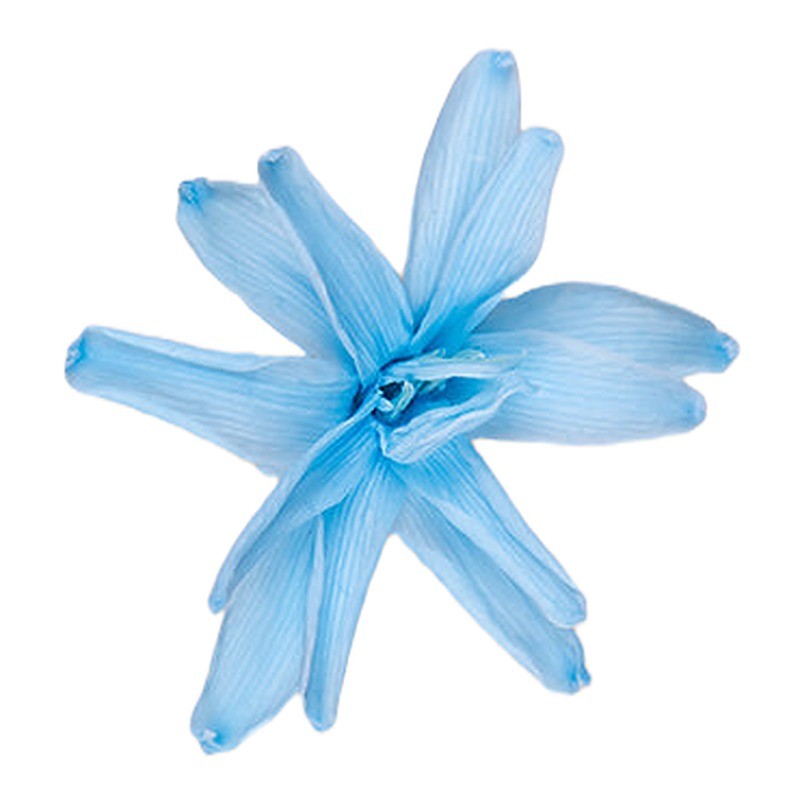 Tubéreuse stabilisée bleu pastel – grossiste en fleurs stabilisées