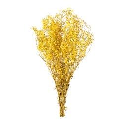 Gypsophile stabilisée jaune – fleurs stabilisées pour compositions qui durent des mois, prix grossiste