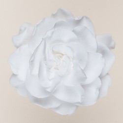 Gardénia stabilisé blanc – acheter des fleurs stabilisées en gros