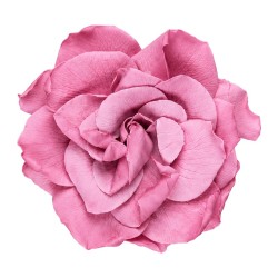 Gardénia stabilisé fleur de cerisier – fleurs stabilisées pour compositions qui durent des mois, prix grossiste