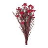Diosmi (fleur de riz) stabilisée rouge – fleurs stabilisées en gros