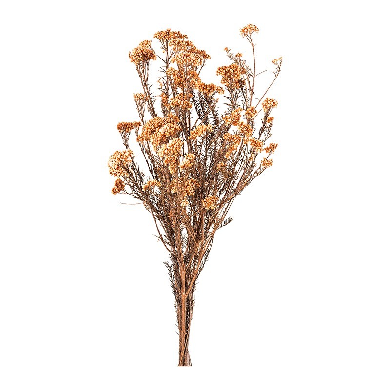 Diosmi (fleur de riz) stabilisée pêche – végétal stabilisé en gros