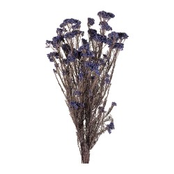 Diosmi (fleur de riz) stabilisée bleu – fleur stabilisée pour fleuristes et décorateurs, vente en gros