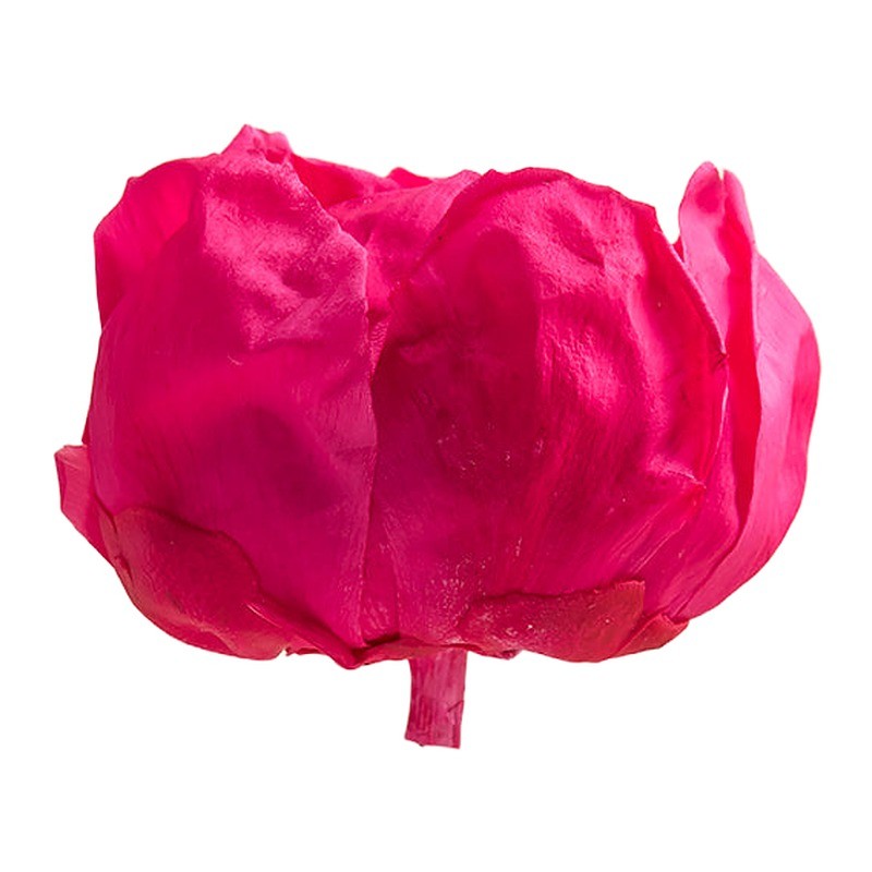 Pivoine stabilisée rose foncé – grossiste en fleurs stabilisées