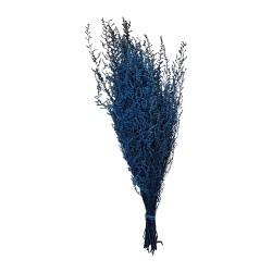 Stoebe stabilisé bleu poudré – grossiste en végétal stabilisé