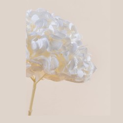 Hortensia stabilisé Premium blanc – fleurs stabilisées en gros