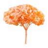Hortensia stabilisé Premium orange pastel – acheter des fleurs stabilisées en gros