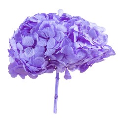 Hortensia stabilisé Premium lilas vif – grossiste en végétal stabilisé