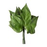 Feuilles de lierre stabilisées – feuillage stabilisé pour bouquets sans entretien, prix grossiste