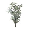 Eucalyptus Pendula stabilisé – grossiste en feuillage stabilisé