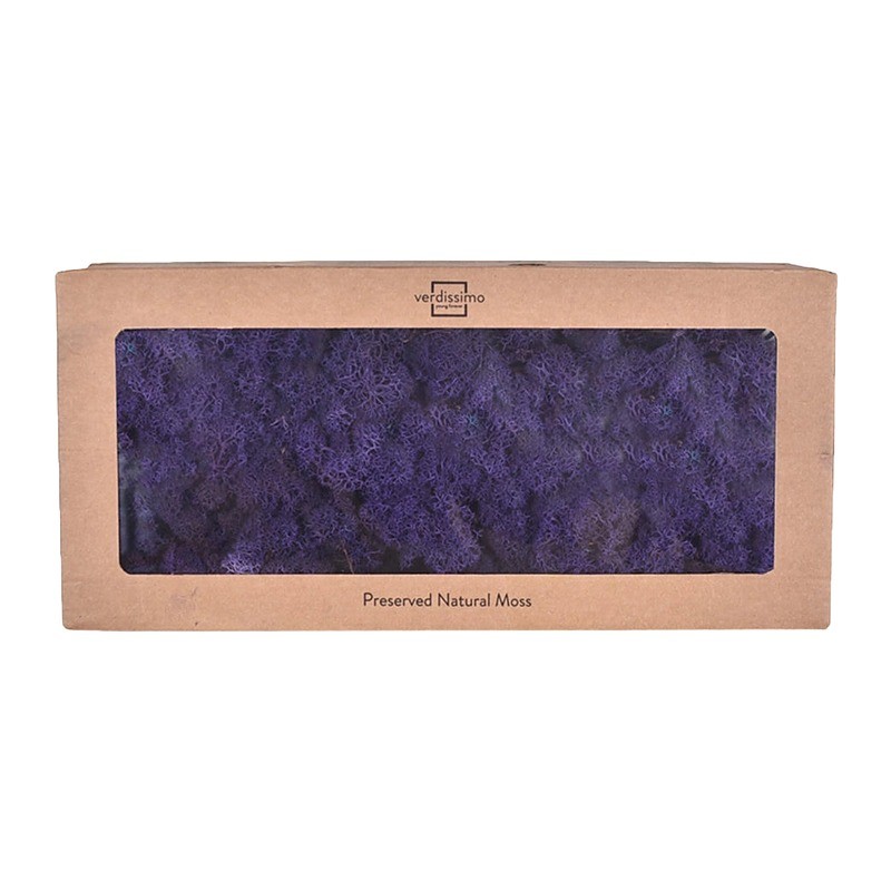 Lichen stabilisé violet – mousse stabilisée en gros – box Lavande & velours